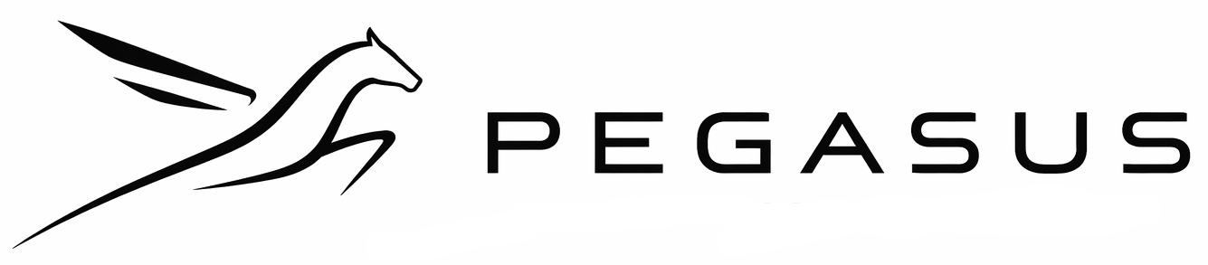 Pegasus Aircraft Holdings logo