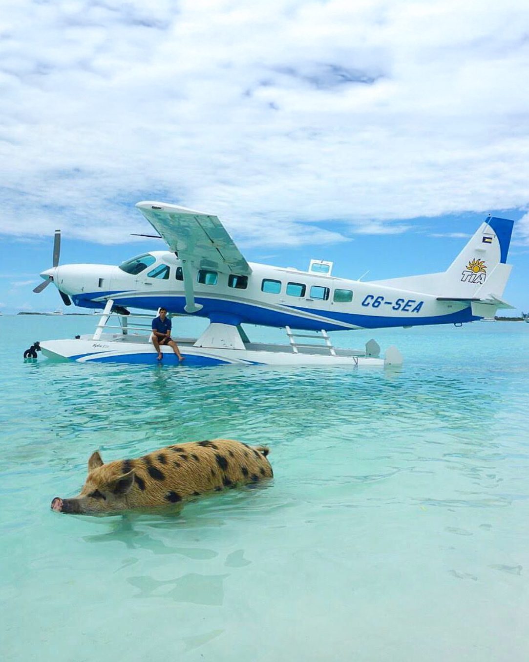 Trans Island Airways historical photo
