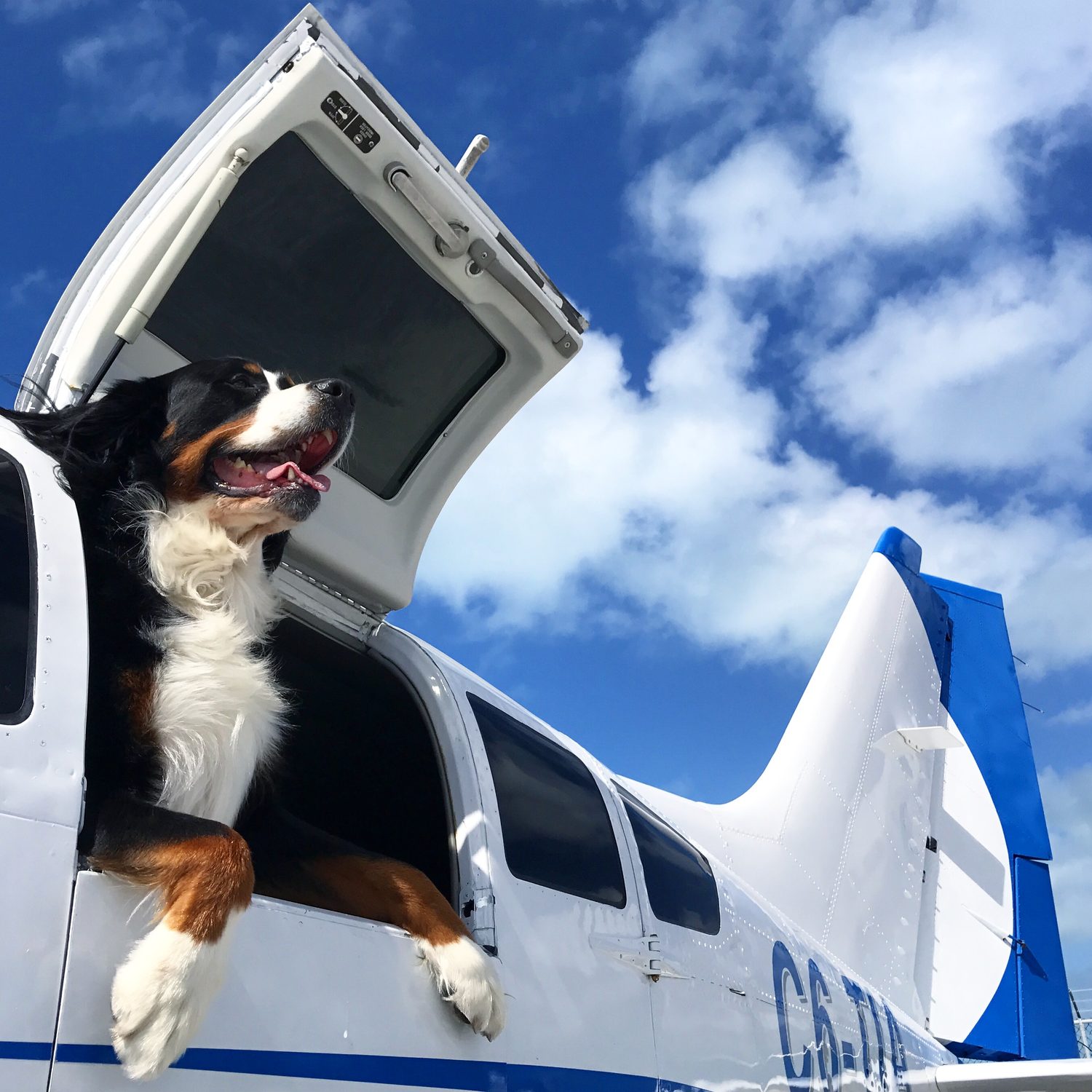 Trans Island Airways historical photo