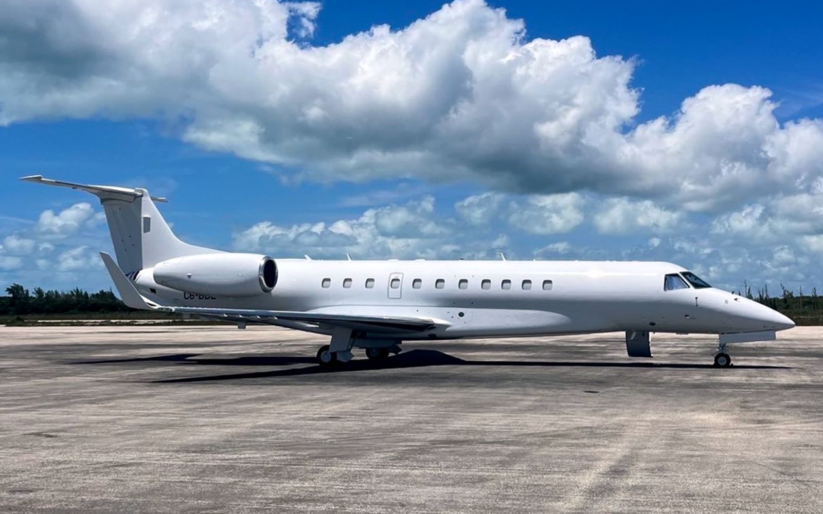 Aircraft logbook and pre-buy review — TIA sales